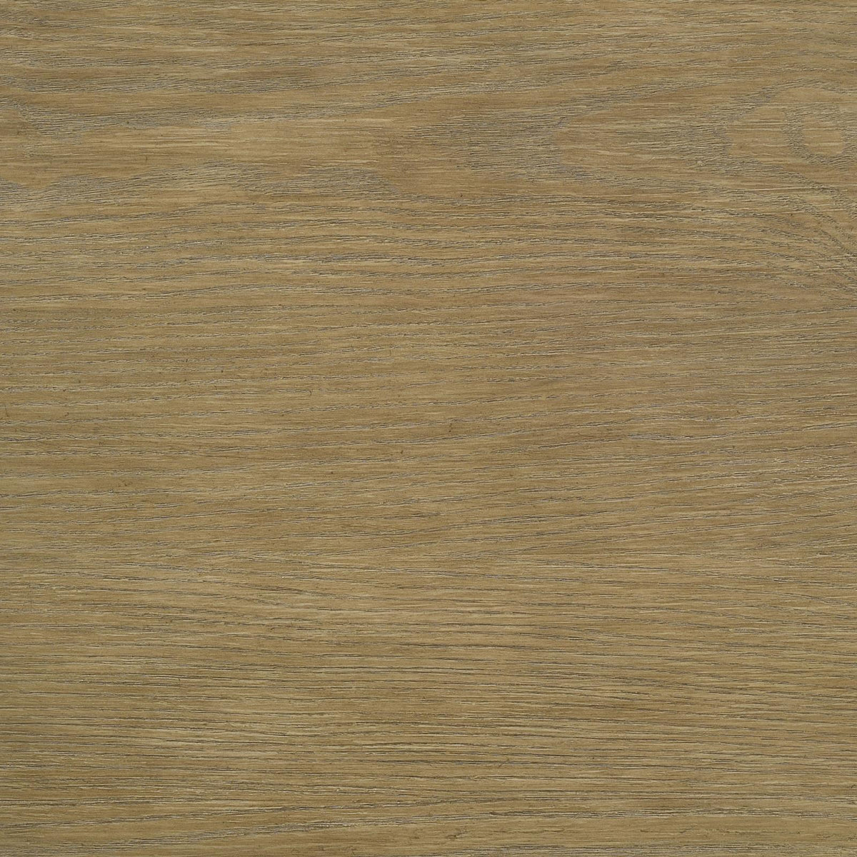 Arini 56-inch California King Panel Bed Cream and Sand Wash