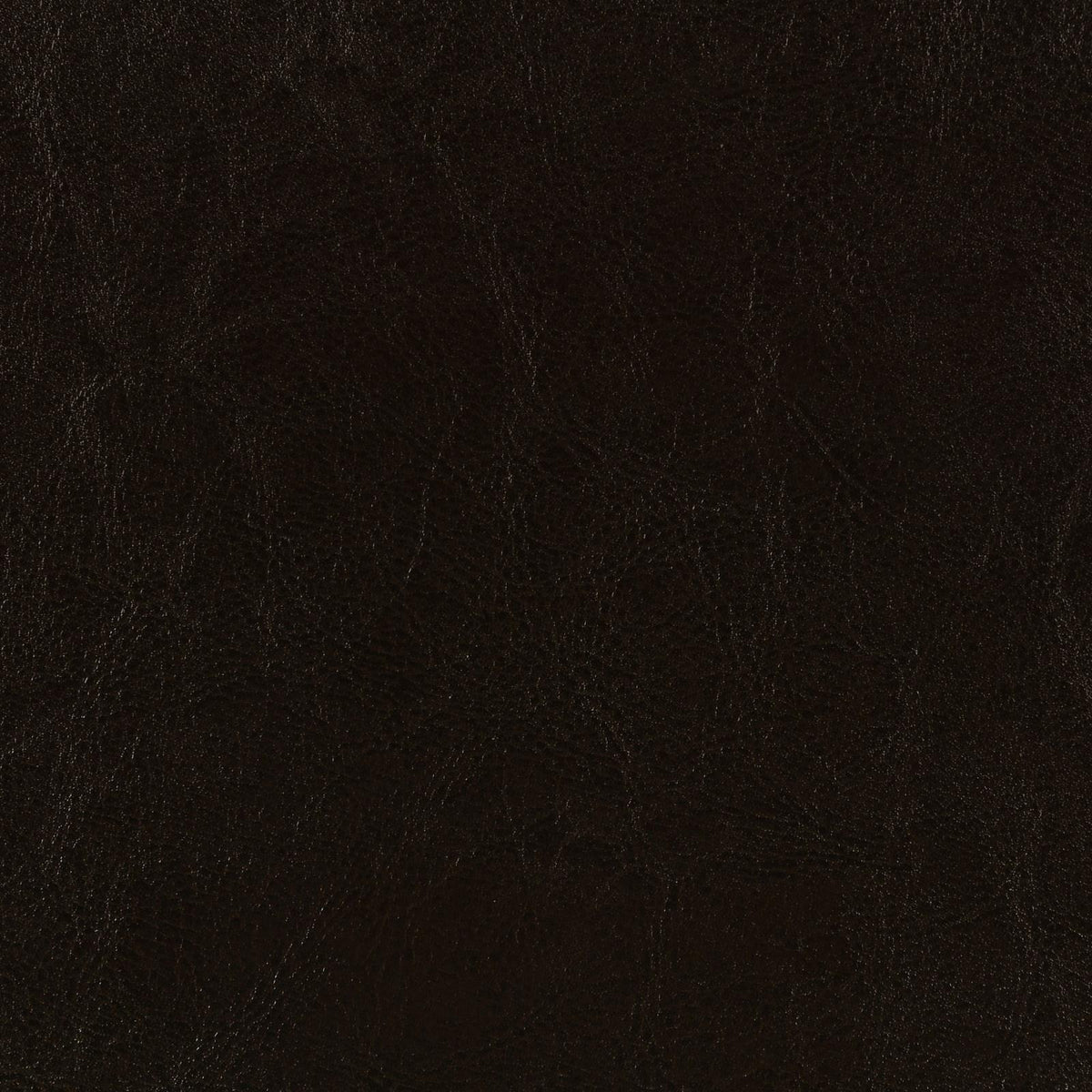 Dorian Faux Leather Upholstered Queen Panel Bed Brown