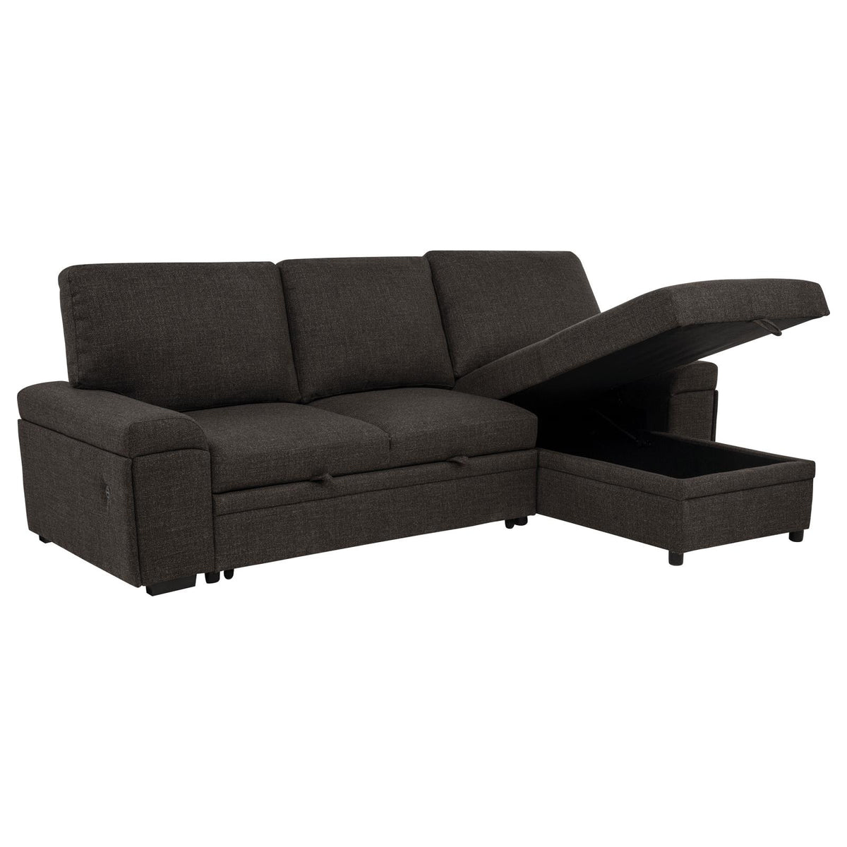 Demko Sleeper Sectional Sofa with Speaker and Storage Chaise Brown