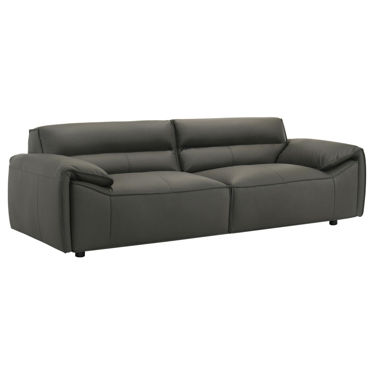 Buxton Leather Upholstered Sofa Set Graphite