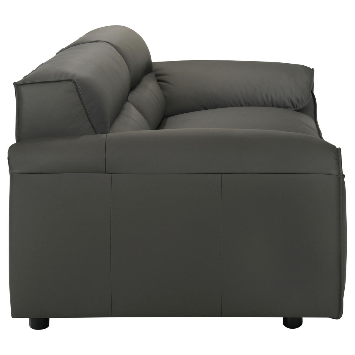Buxton Leather Upholstered Sofa Set Graphite